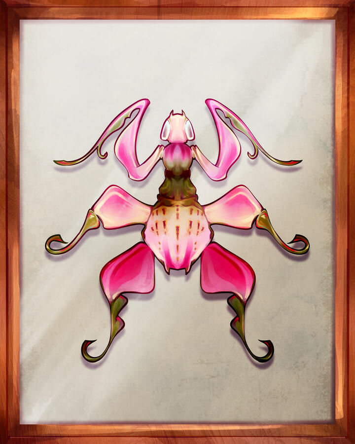 Orchid Mantis (2025)
