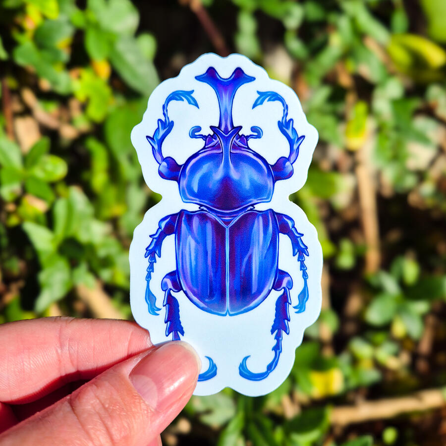 Rhino Beetle